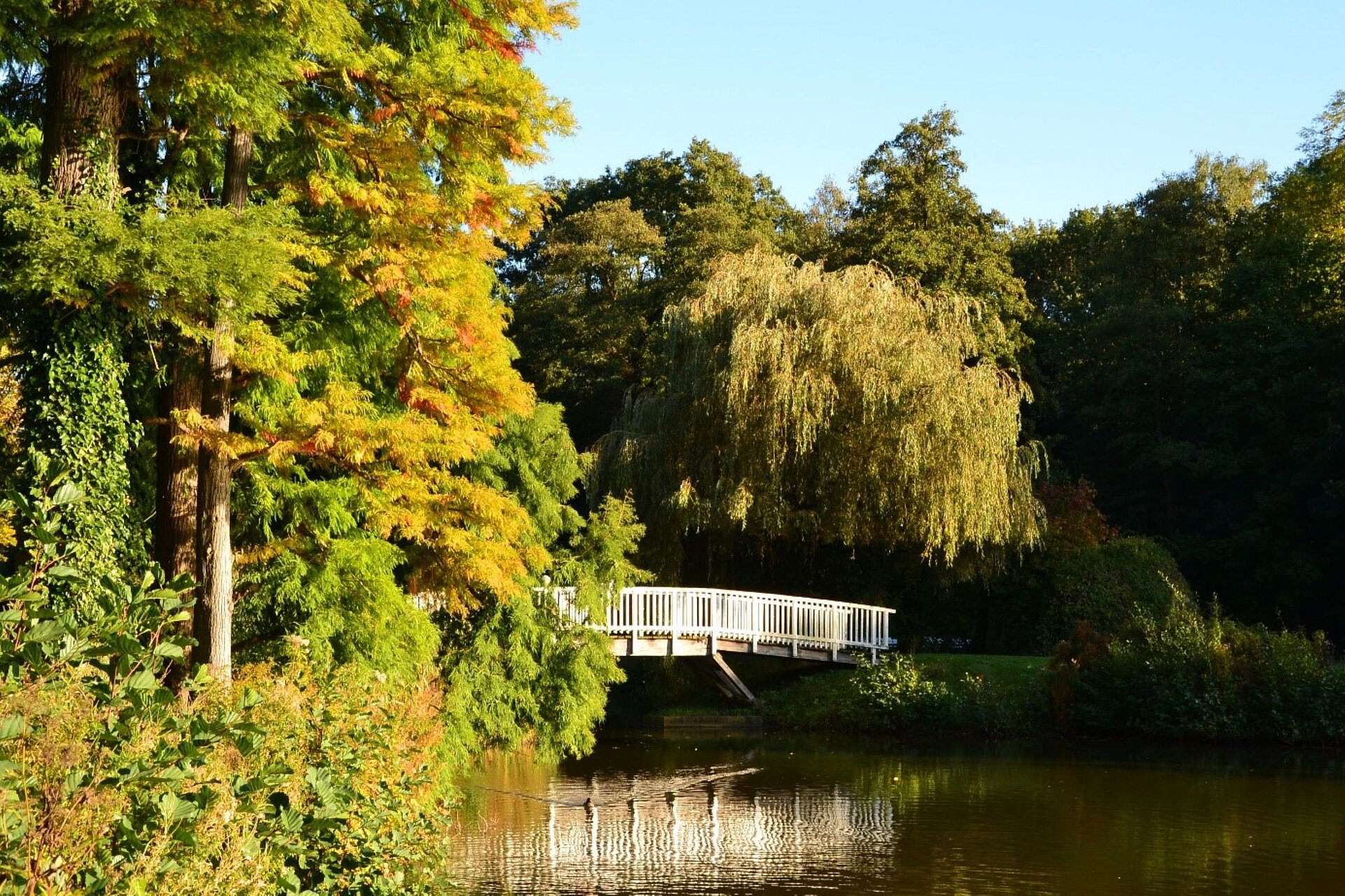 Landschaftsszene im Kurpark Hamm. 