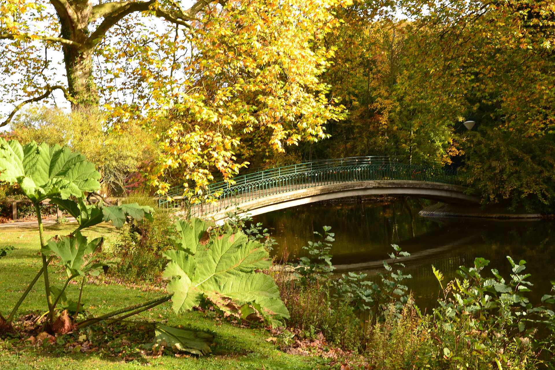 Botanischer Garten Rombergpark in Dortmund.