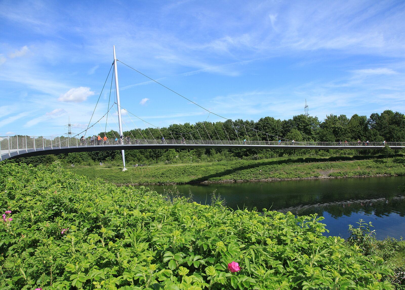 Die Grimberger Sichel ist eine Fuß- und Radfahrerbrücke über den Rhein-Herne-Kanal am Hafen Grimberg in Gelsenkirchen-Bismarck.