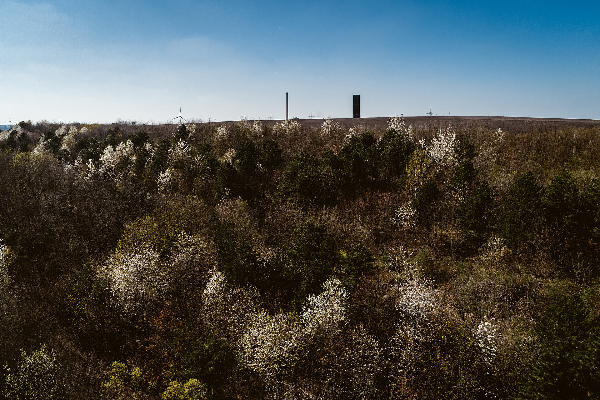 Die Schurenbachhalde in Essen, eine Bergehalde der Zeche Zollverein.