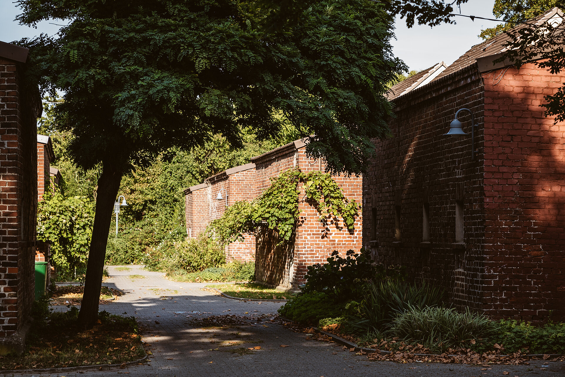 Die Siedlung Ziethenstraße in Lünen wurde für die Arbeiter der Zeche Preußen errichtet.