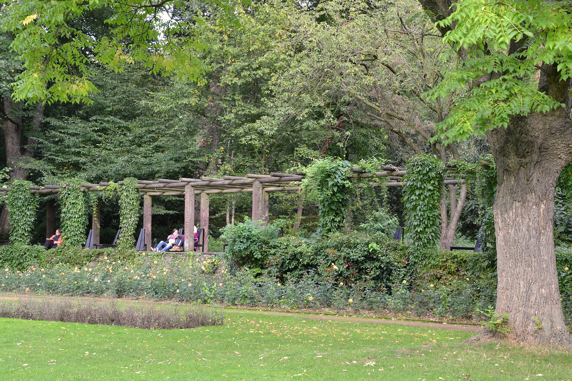 Botanischer Garten Duissern.