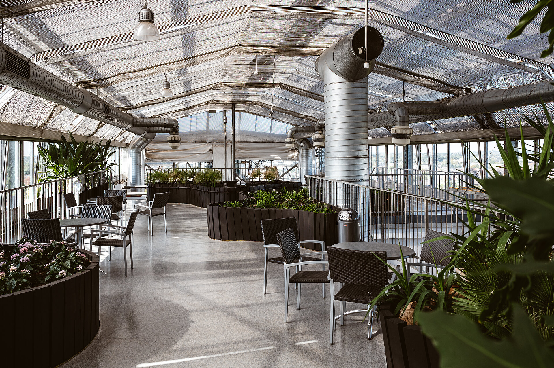 Glaselefant von innen.