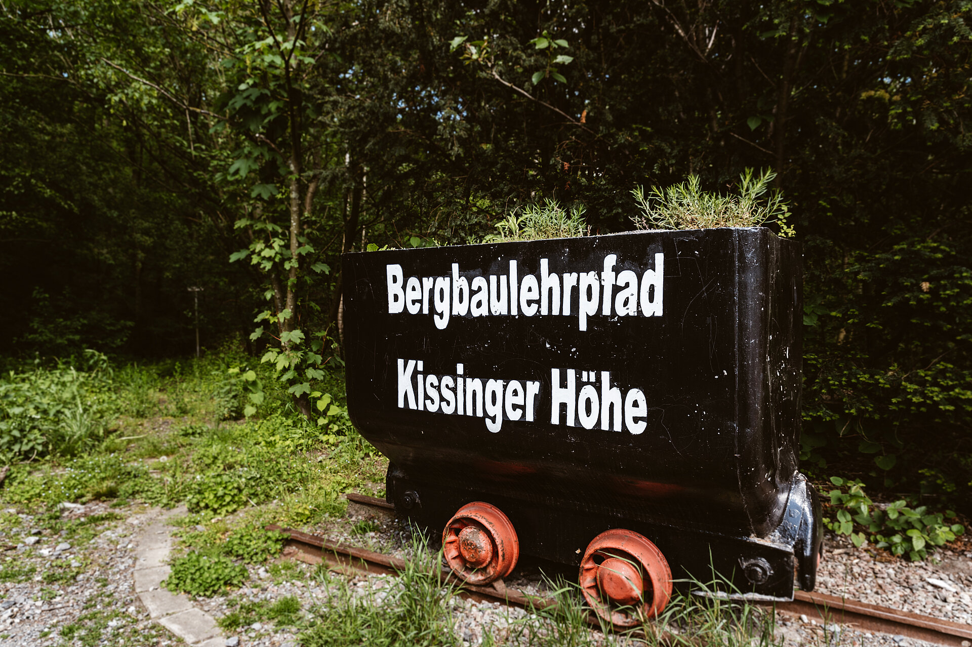 Der Bergbaulehrpfad auf der Kissinger Höhe.