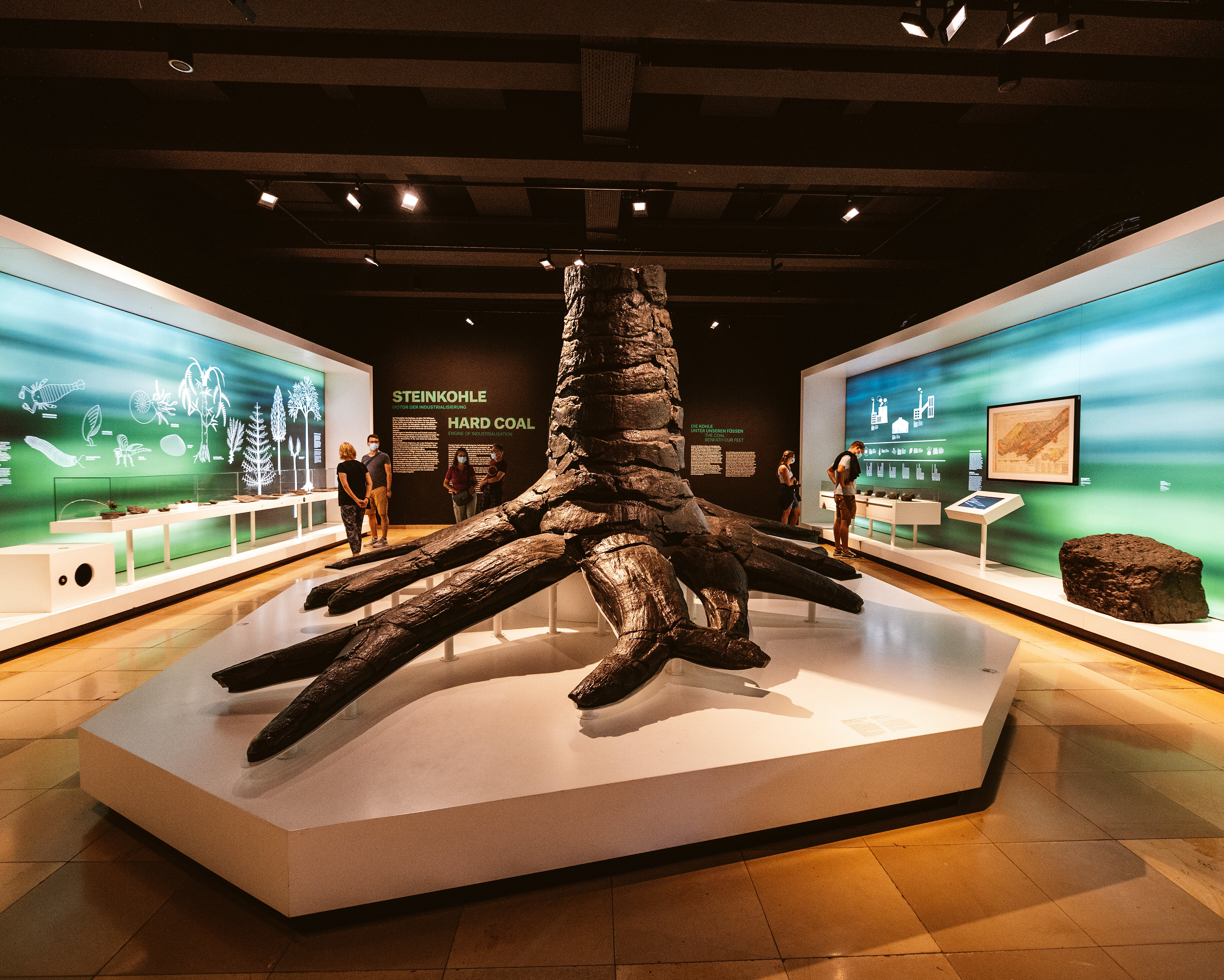 Karbonbaum im Rundgang Steinkohle der Dauerausstellung des Deutschen Bergbau-Museums Bochum