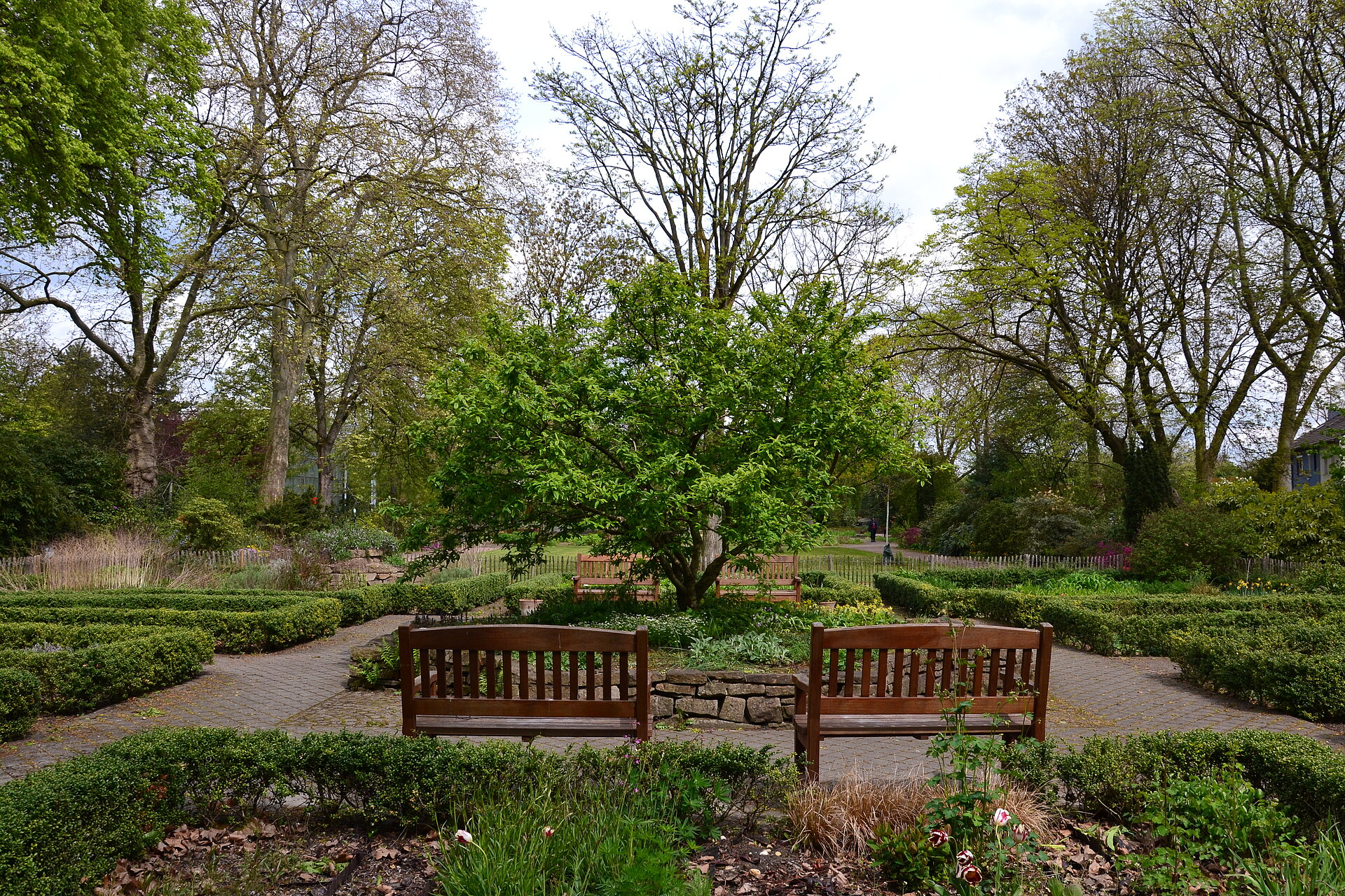 Botanischer Garten Hamborn.