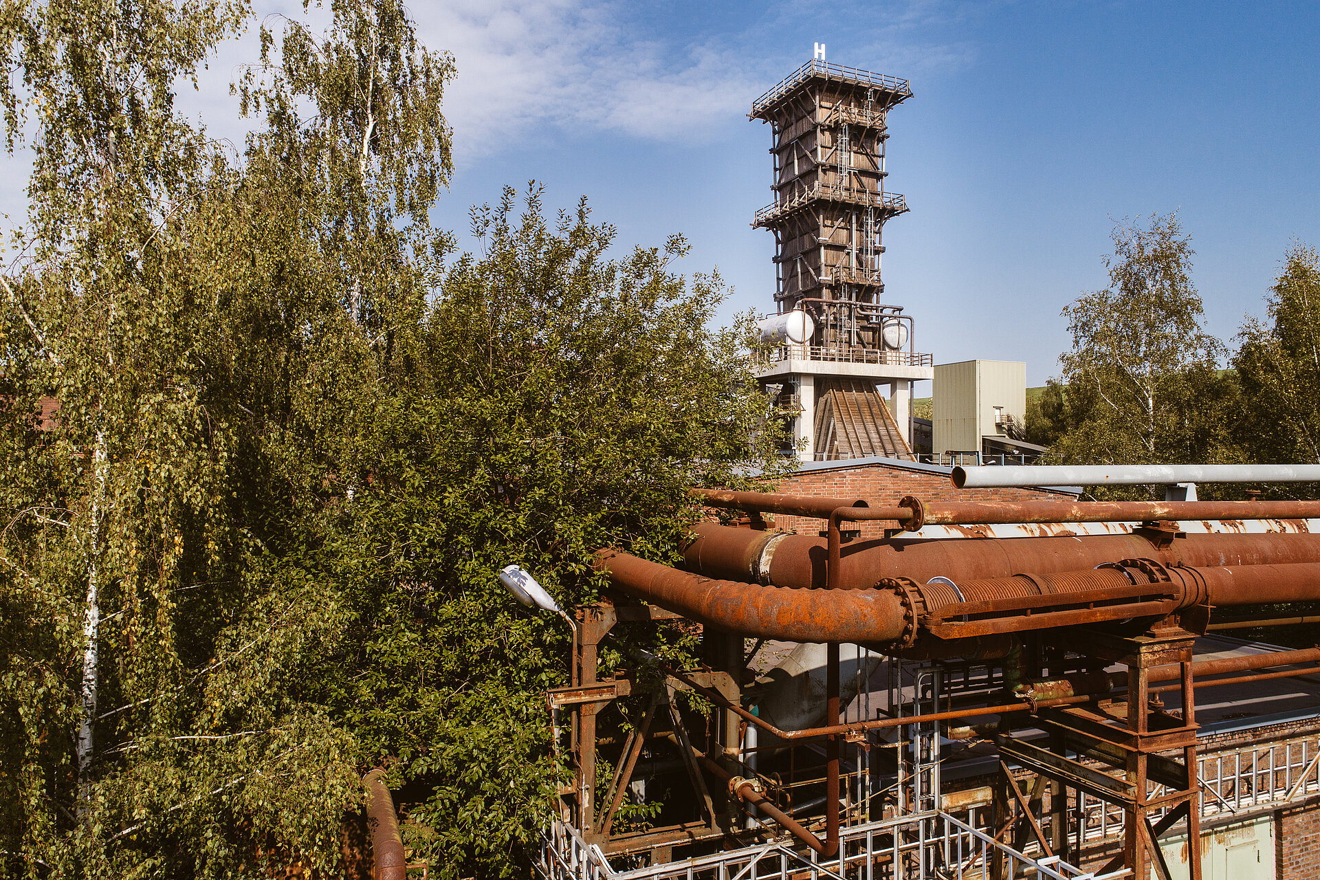 Nach der Stilllegung der Kokerei Hansa in Dortmund im Jahre 1992 hat sich die Natur weite Teile des Geländes zurückerobert.