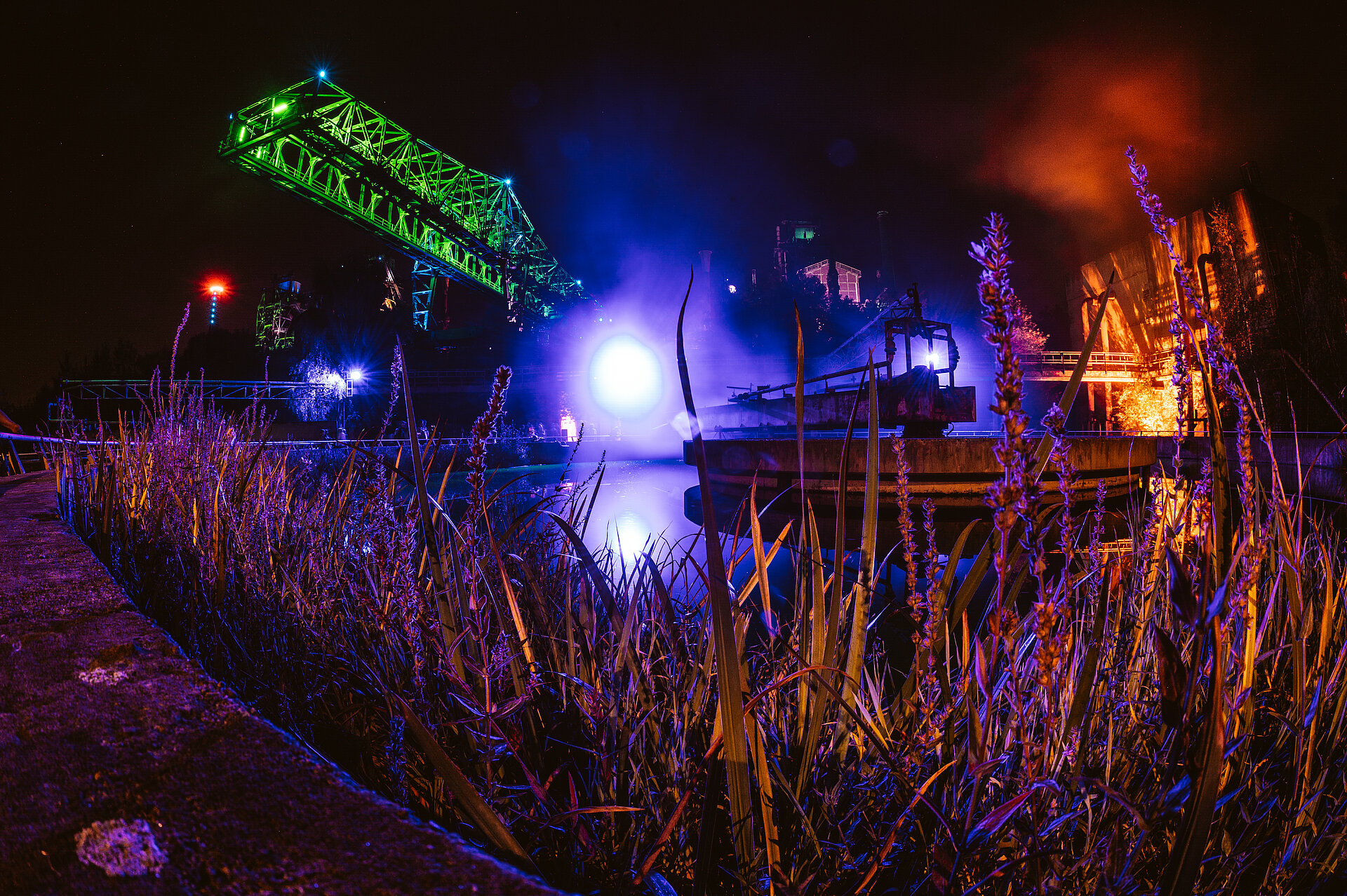 Lichtsinstallation am Klärbecken mit grünem "Krokodil".