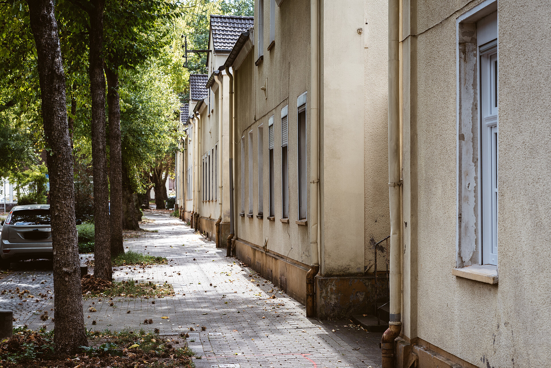 Die Siedlung Flöz Dickebank in Gelsenkirchen.