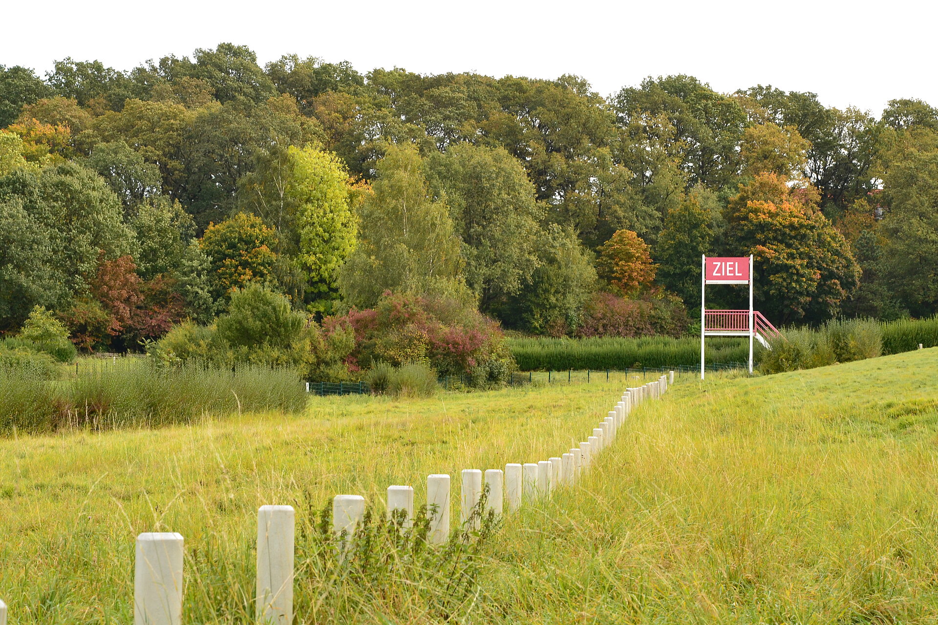 Naturhindernis-Pferderennbahn in Castrop-Rauxel.