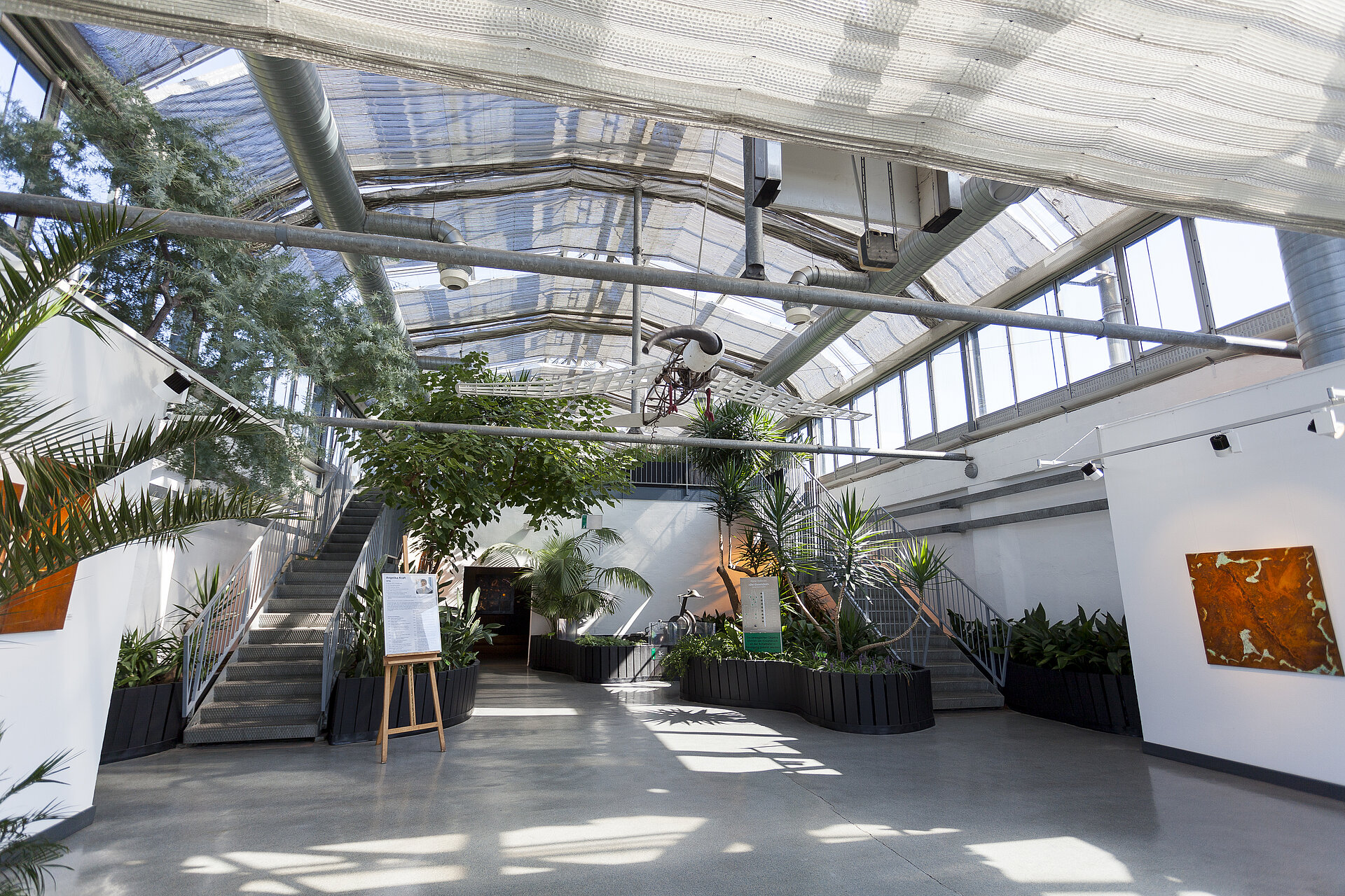 Blick in den gläsernen Elefanten im Maximilianpark in Hamm.