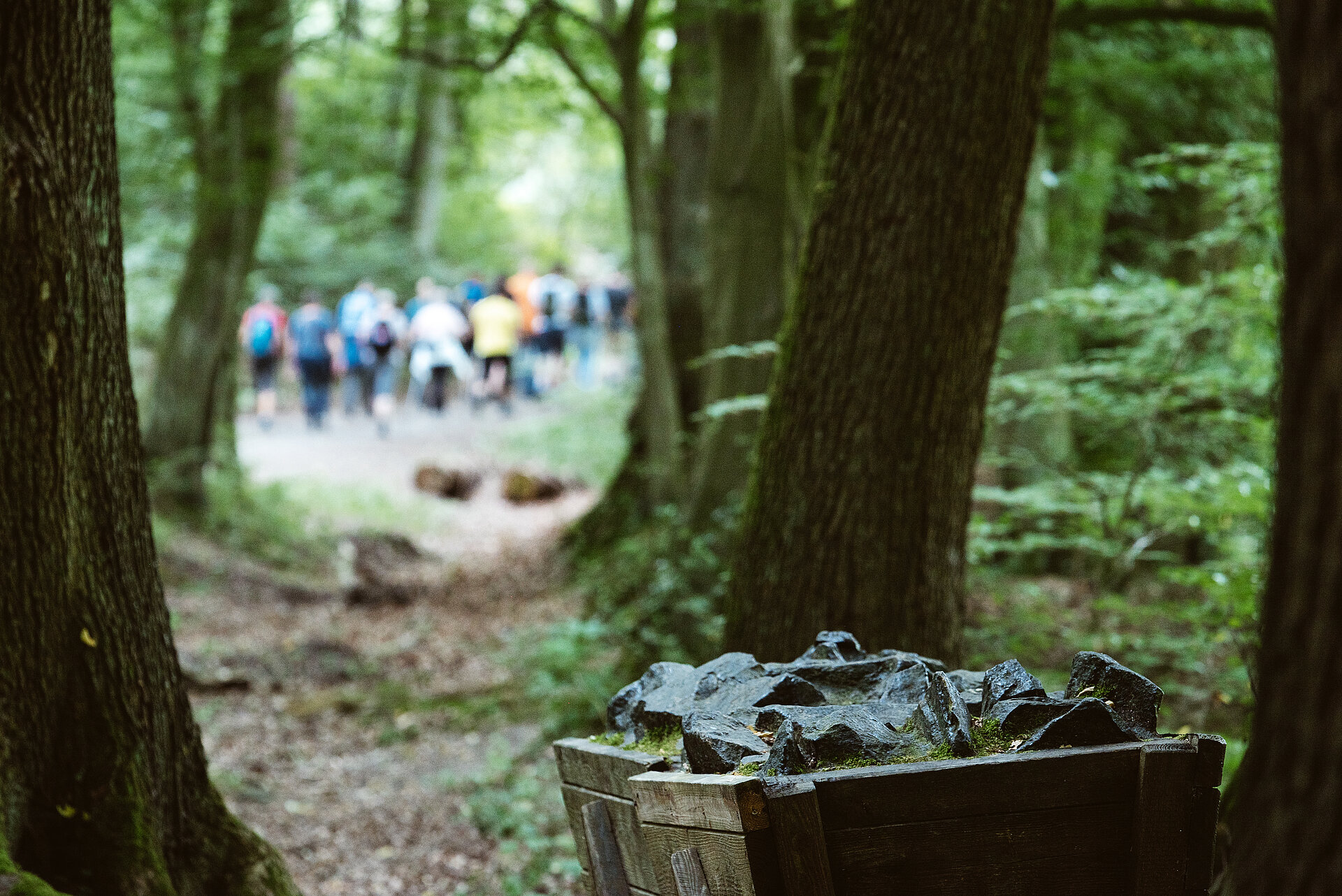 Das Muttental in Witten ist die Wiege des Ruhrbergbaus und heute ein beliebter Ort zum Wandern.