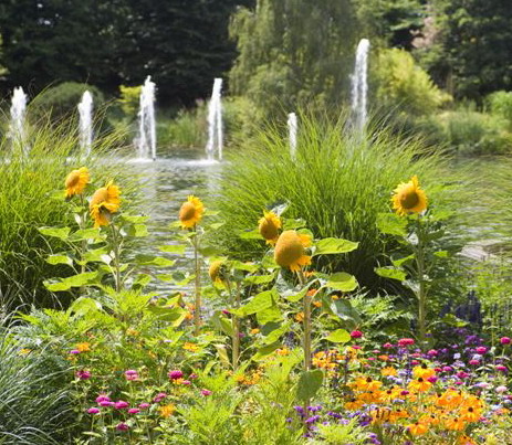 Der Maximilianpark in Hamm.