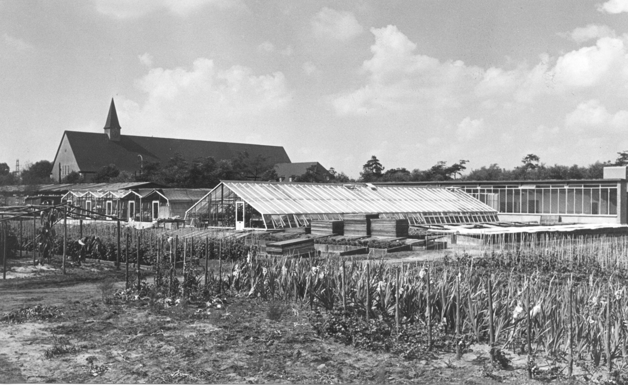  Werksgärtnerei der Chemischen Werke Hüls im Jahr 1958. Im Hintergrund: das Feierabendhaus.