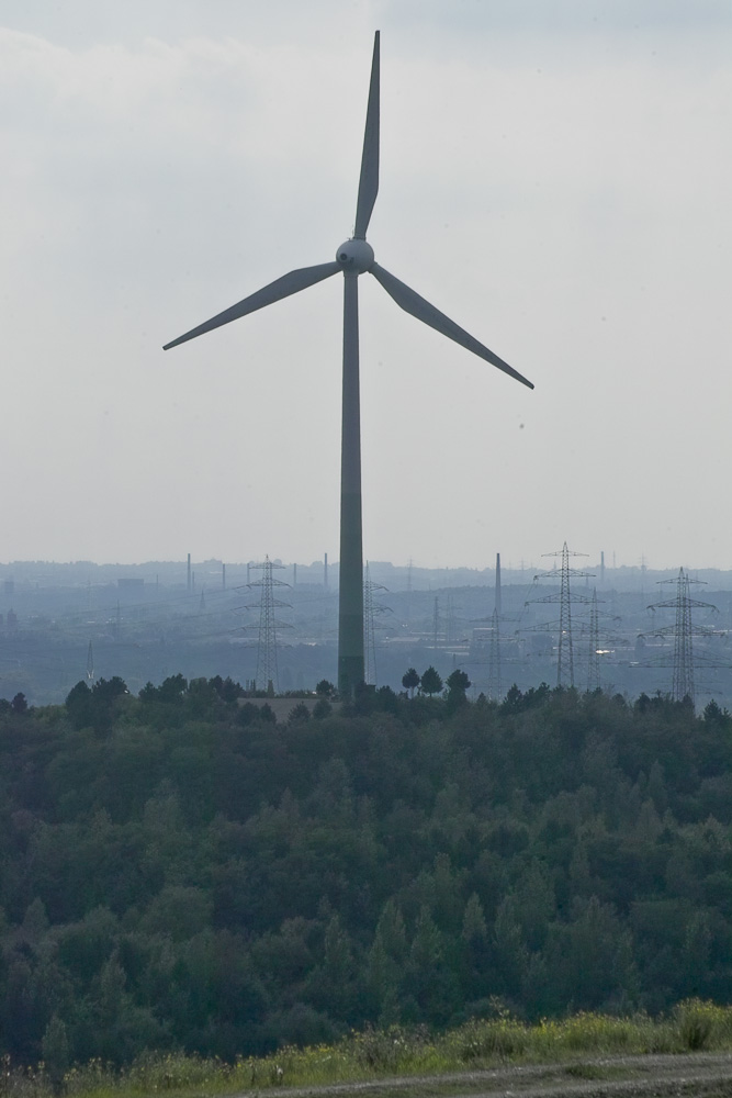Windrad auf der Halde Hoppenbruch in Herten.