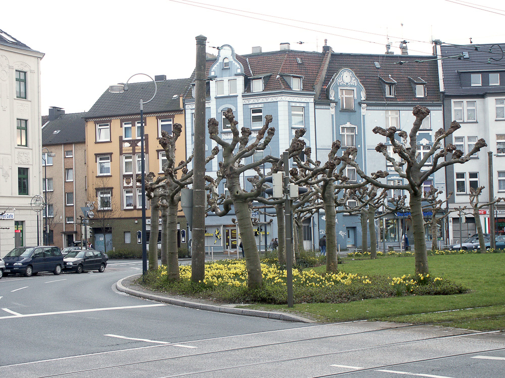 Borsigplatz in Dortmund.