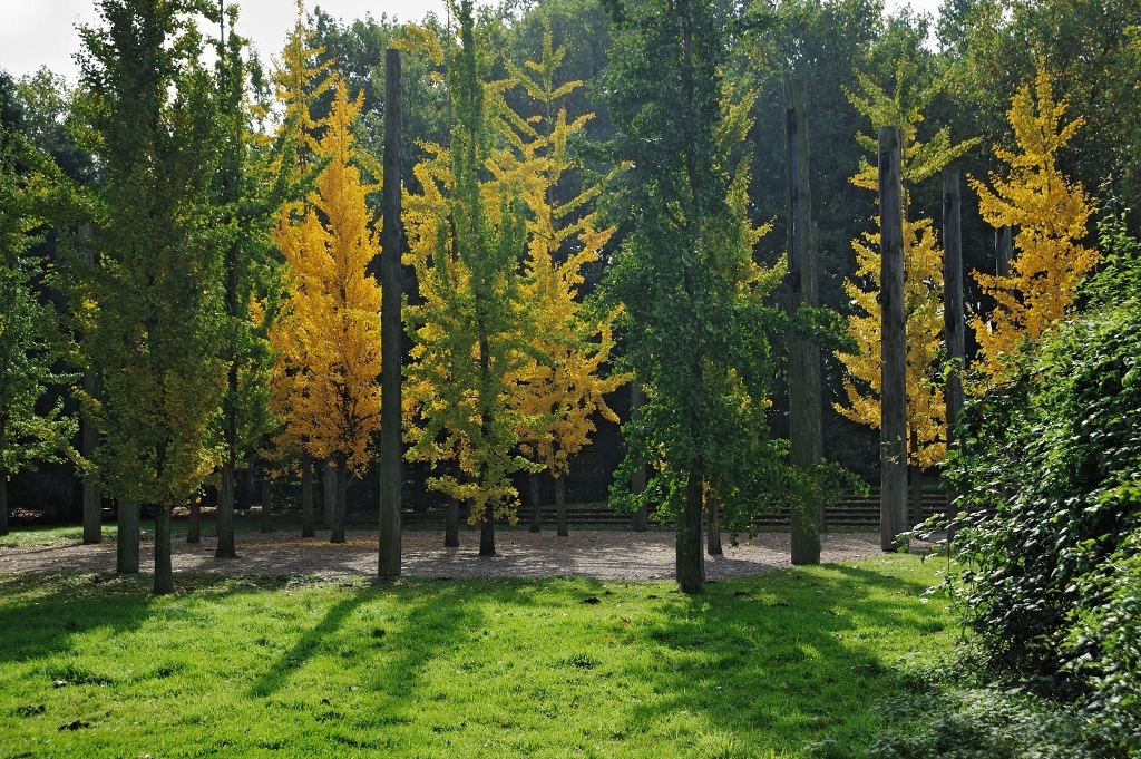 Gehölzgarten an Haus Ripshorst in Oberhausen.