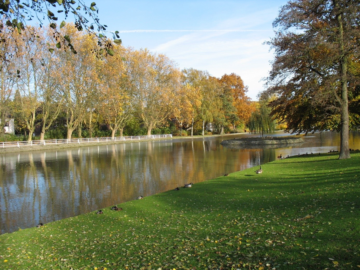 Stadtgartenteich im Stadtgarten Castrop-Rauxel.