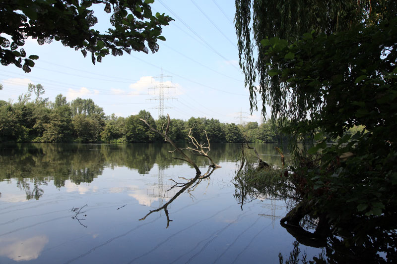 Emscherbruch in Herten.